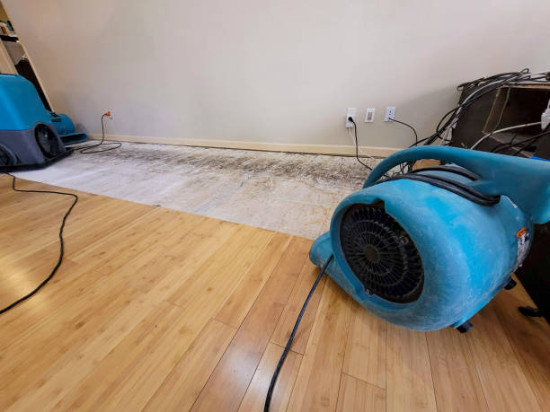 Professional Sewage Cleanup technician working in Greenville, FL